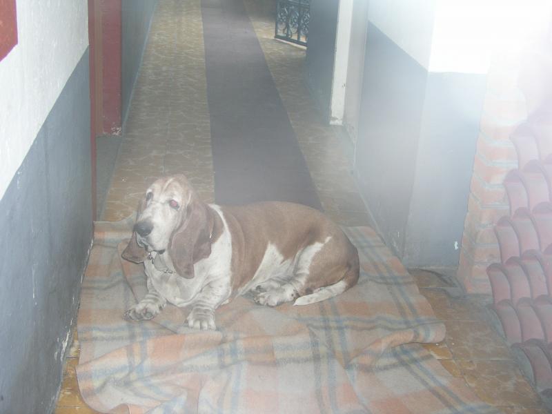 p5210432.jpg p5210432.jpg