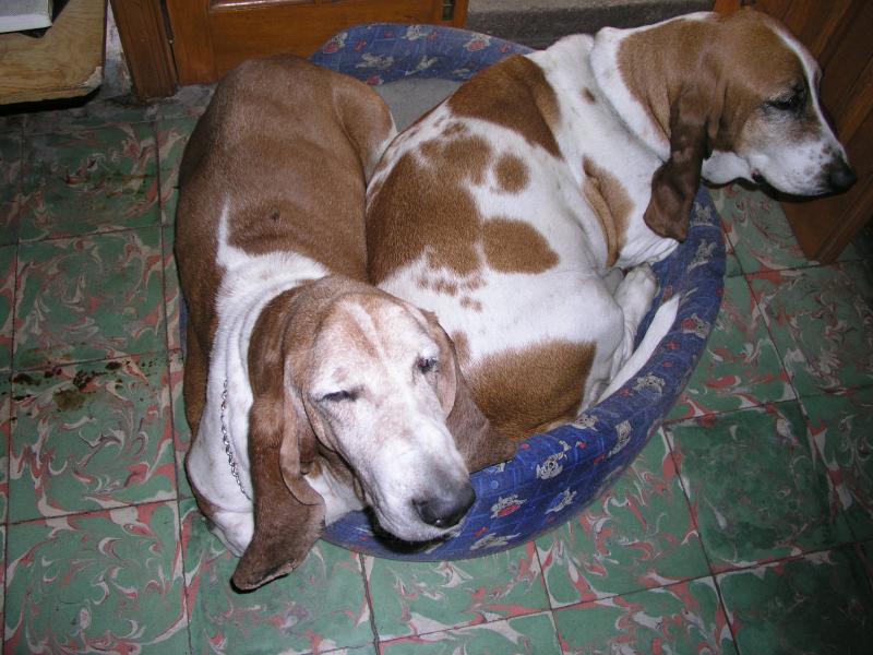 pc030468.jpg pc030468.jpg