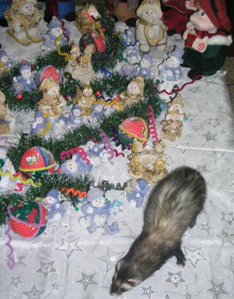 pc080056.jpg pc080056.jpg