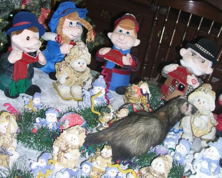 pc080058.jpg pc080058.jpg