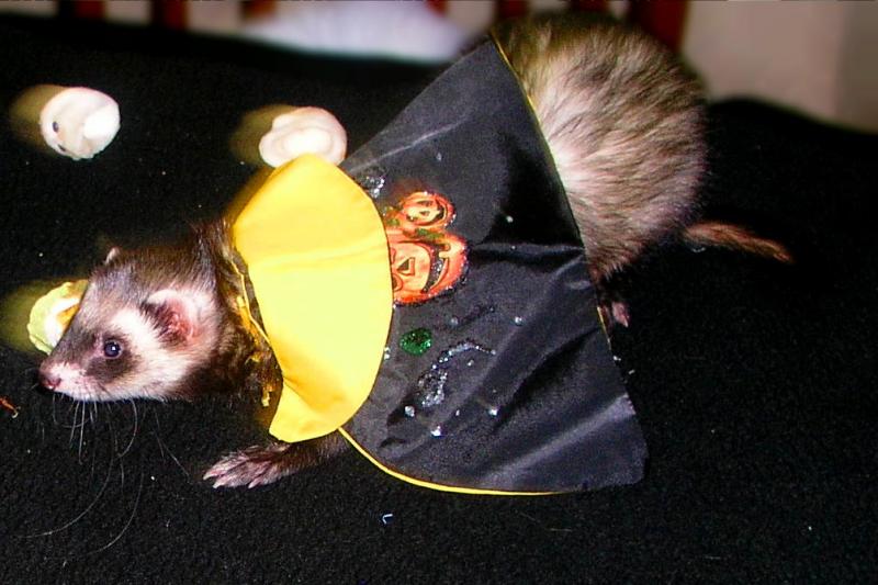 concurso3.jpg concurso3.jpg