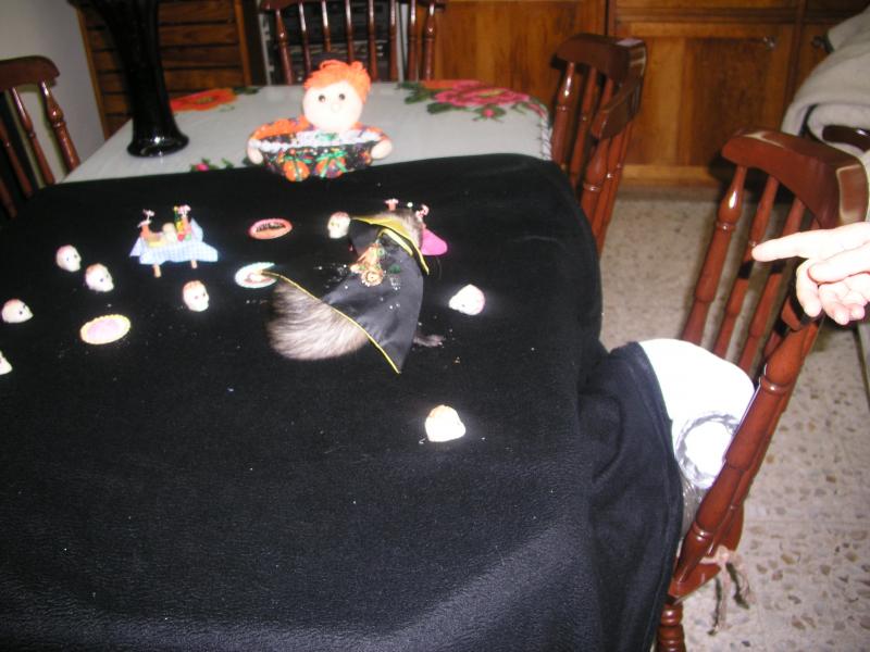 pa290266.jpg pa290266.jpg