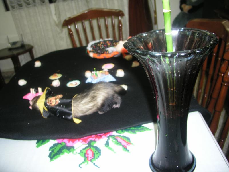 pa290273.jpg pa290273.jpg