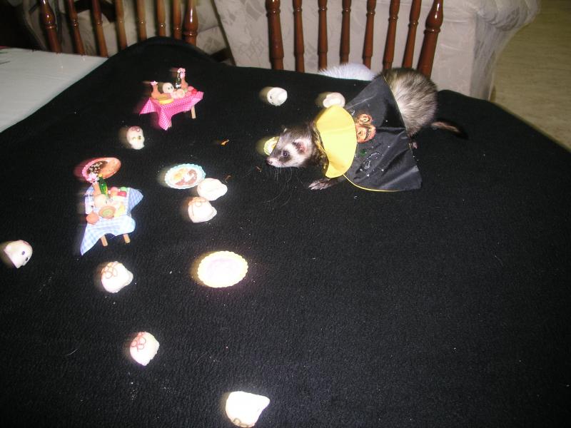 pa290284.jpg pa290284.jpg