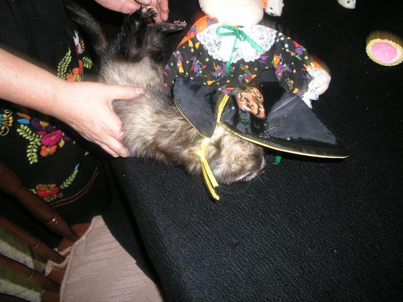 pa290287.jpg pa290287.jpg