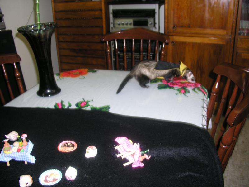 pa290291.jpg pa290291.jpg