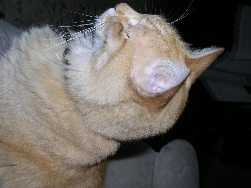 p4190295.jpg p4190295.jpg