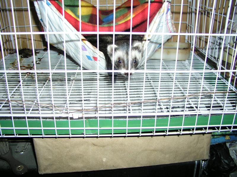 p2131676.jpg p2131676.jpg