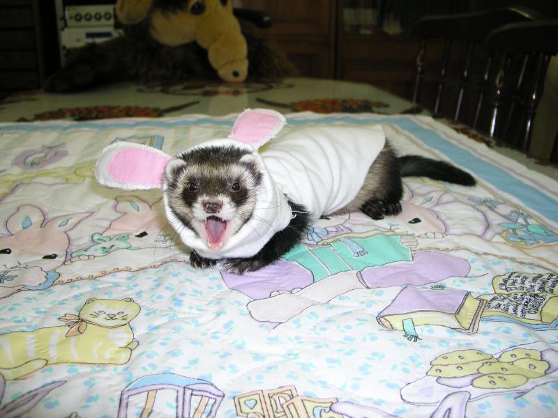 p3140163.jpg p3140163.jpg