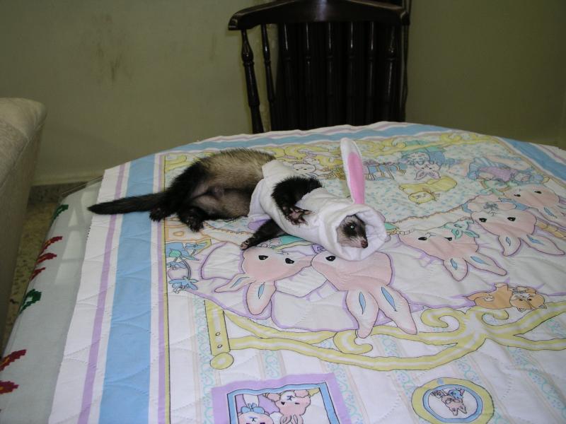 p3140164.jpg p3140164.jpg