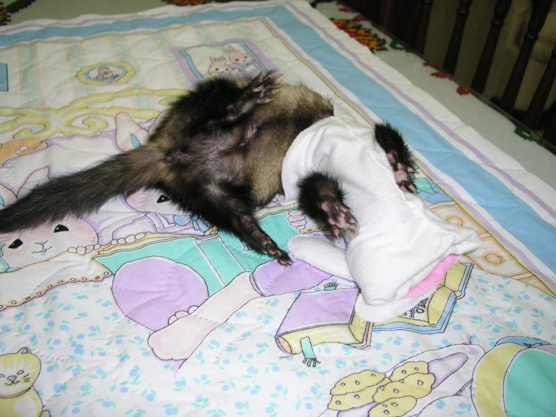 p3140166.jpg p3140166.jpg