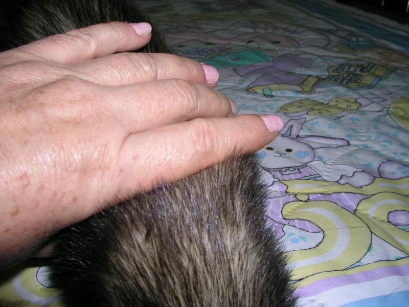 p3140168.jpg p3140168.jpg