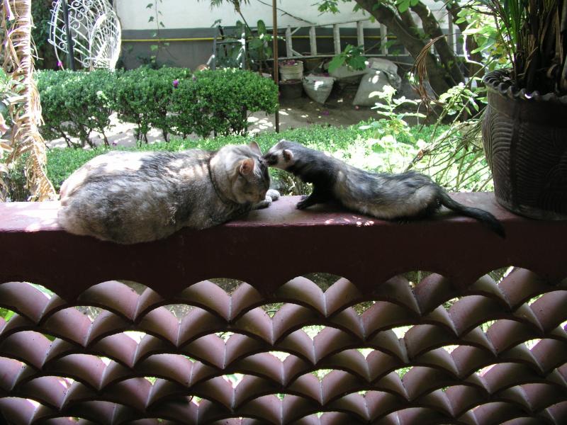 p3210175.jpg p3210175.jpg