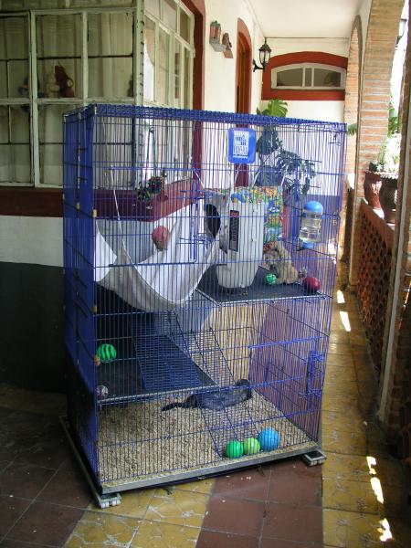 p3210179.jpg p3210179.jpg