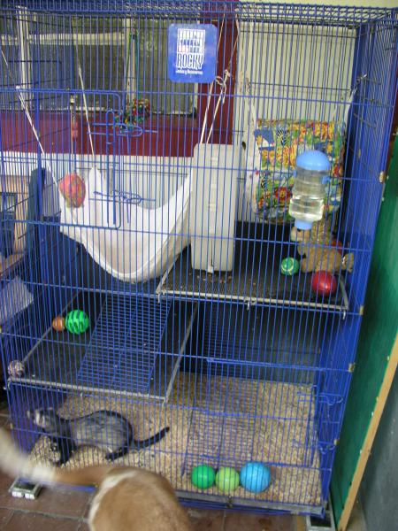 p3210182.jpg p3210182.jpg