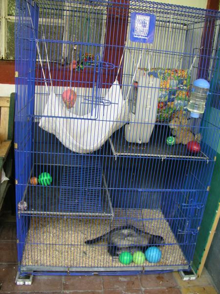 p3210183.jpg p3210183.jpg