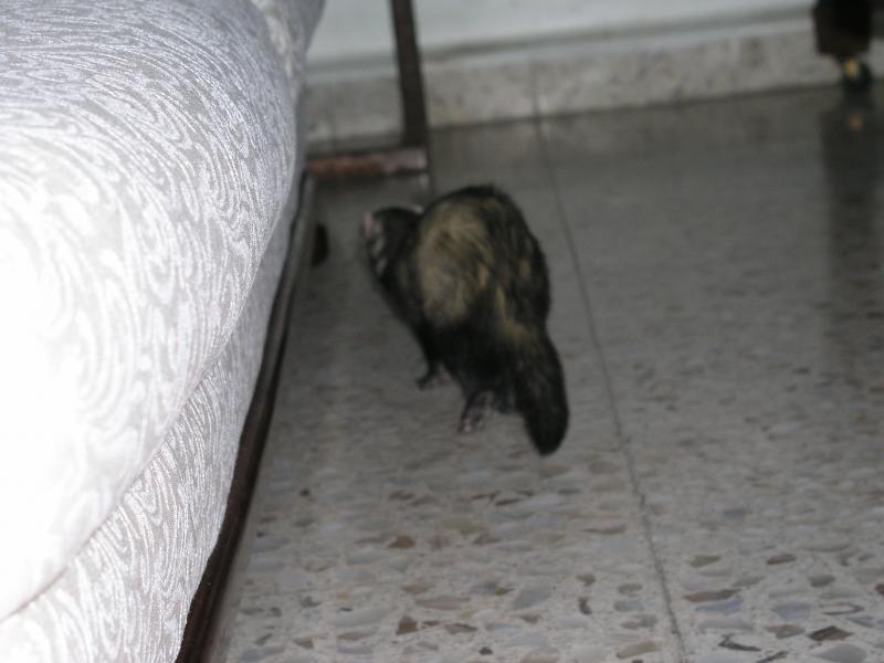 p4070207.jpg p4070207.jpg