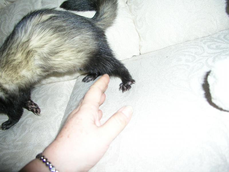 p4070209.jpg p4070209.jpg