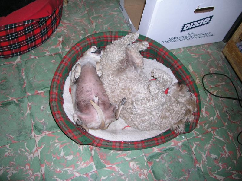 p4080232.jpg p4080232.jpg