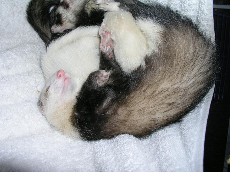 p4130241.jpg p4130241.jpg