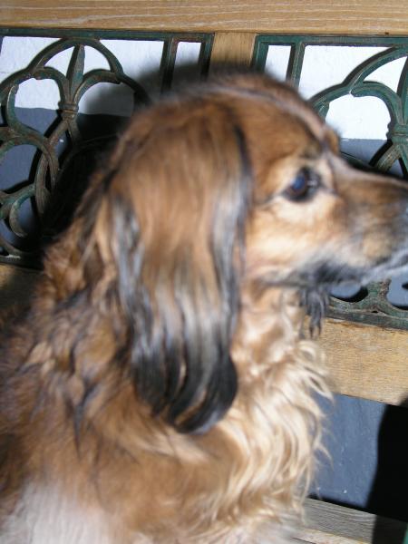 p4130243.jpg p4130243.jpg