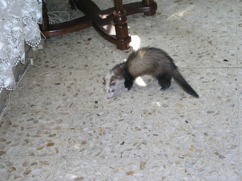 p4210272.jpg p4210272.jpg