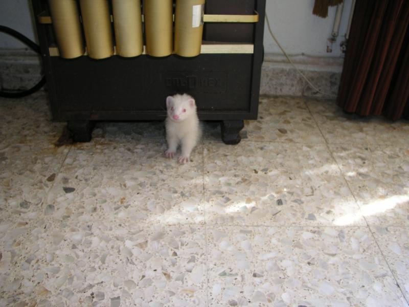 p4210275.jpg p4210275.jpg