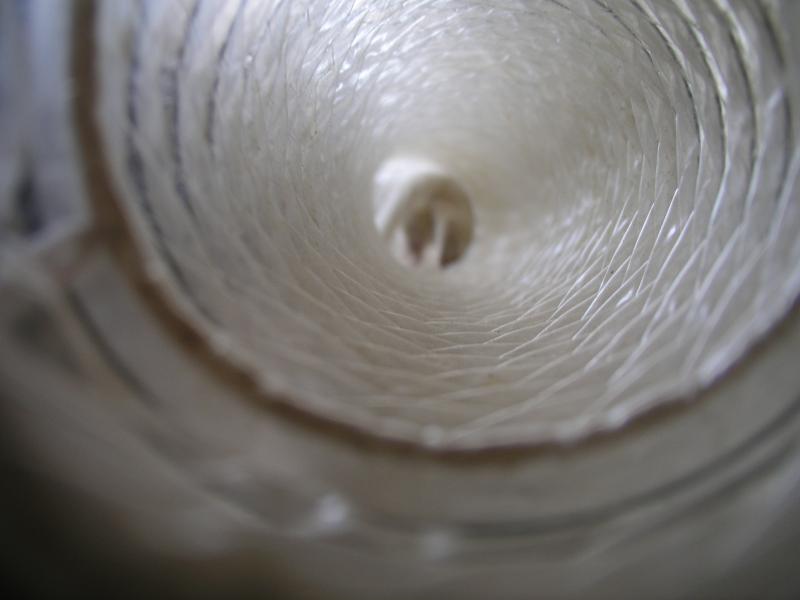 p4210279.jpg p4210279.jpg