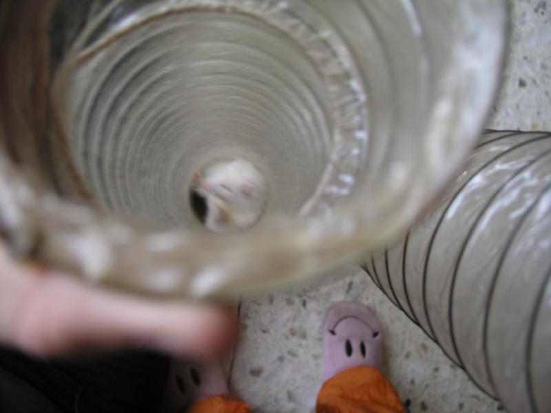 p4210281.jpg p4210281.jpg