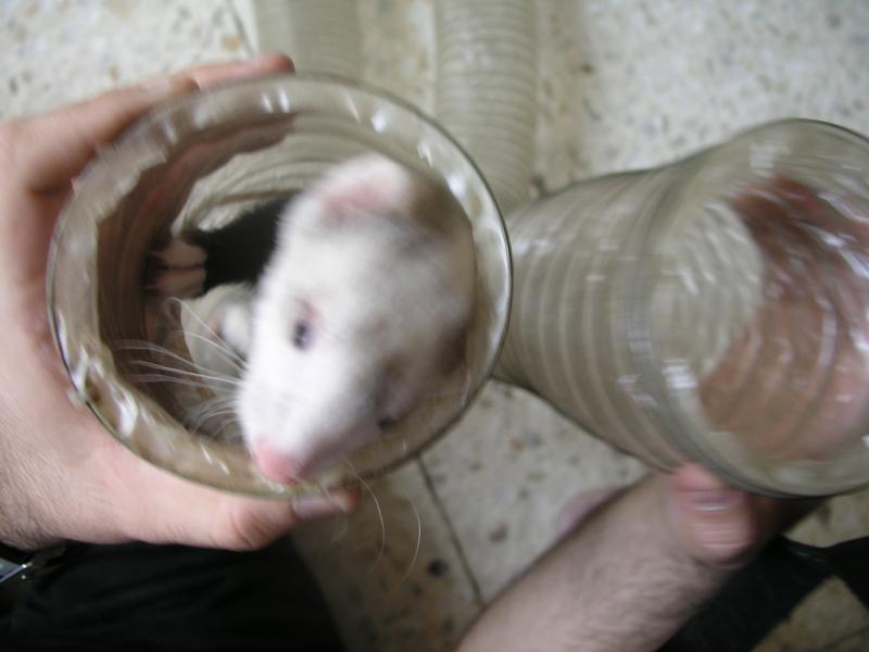 p4210287.jpg p4210287.jpg