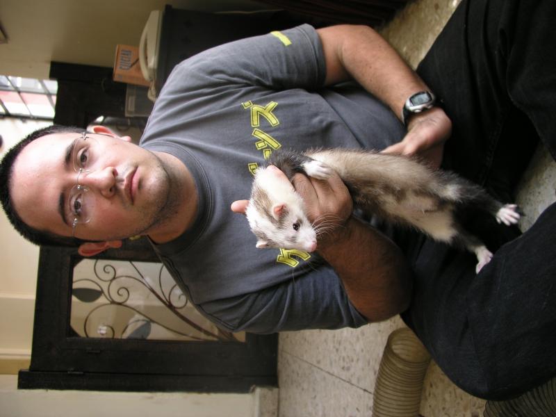 p4210294.jpg p4210294.jpg