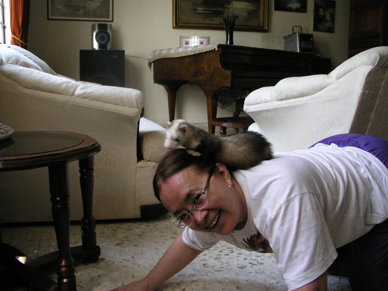 p4210297.jpg p4210297.jpg