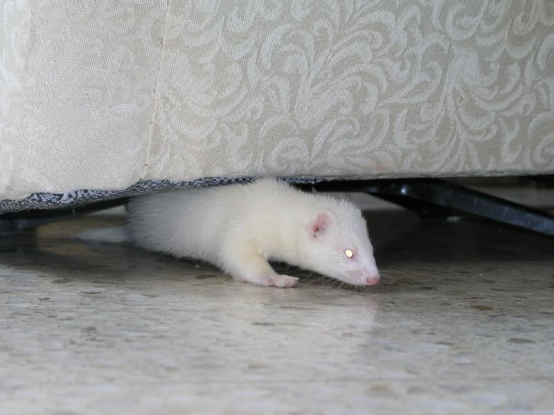 p4210304.jpg p4210304.jpg