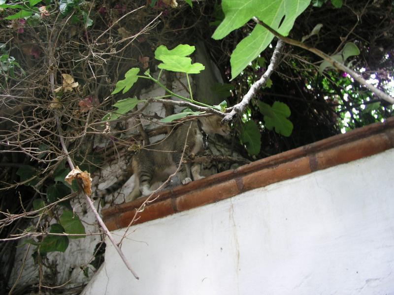 p4220312.jpg p4220312.jpg