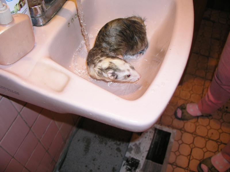 p5270797.jpg p5270797.jpg