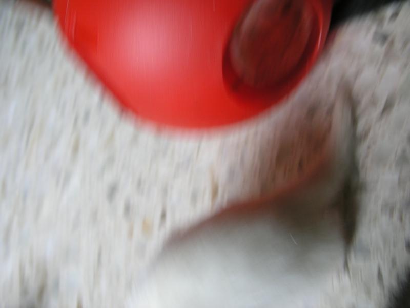 p7190040.jpg p7190040.jpg