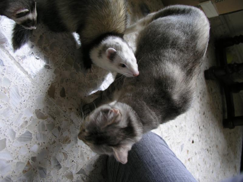 p7190048.jpg p7190048.jpg