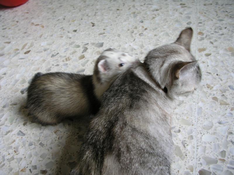 p7190051.jpg p7190051.jpg