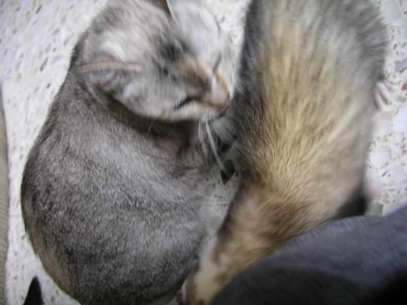 p7190052.jpg p7190052.jpg