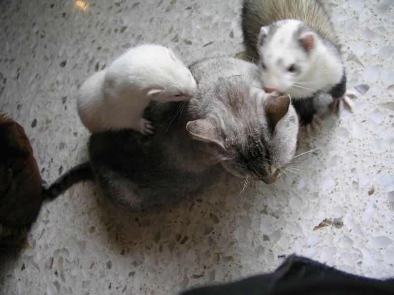 p7190055.jpg p7190055.jpg