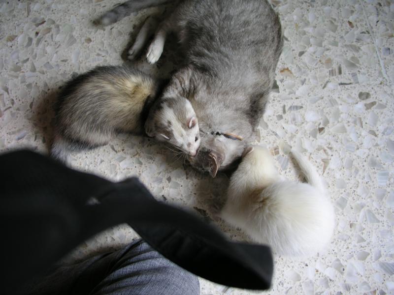 p7190057.jpg p7190057.jpg