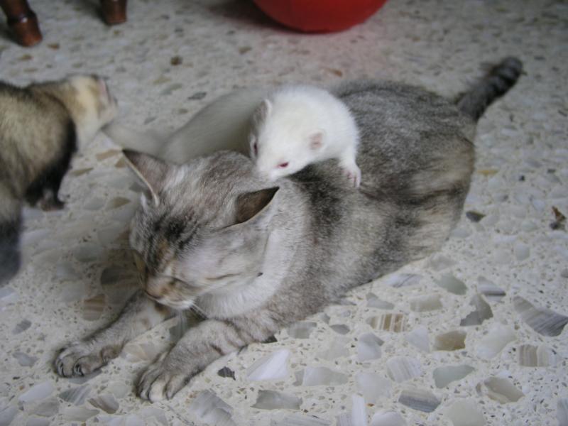 p7190063.jpg p7190063.jpg