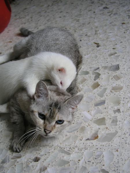 p7190064.jpg p7190064.jpg