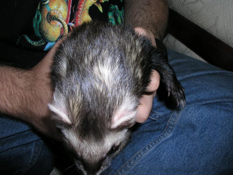 p1010871.jpg p1010871.jpg