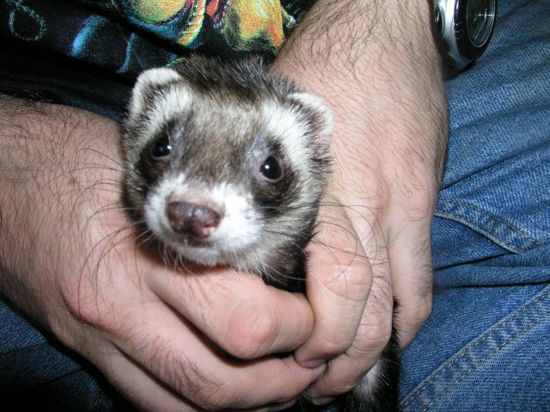 p1010872.jpg p1010872.jpg