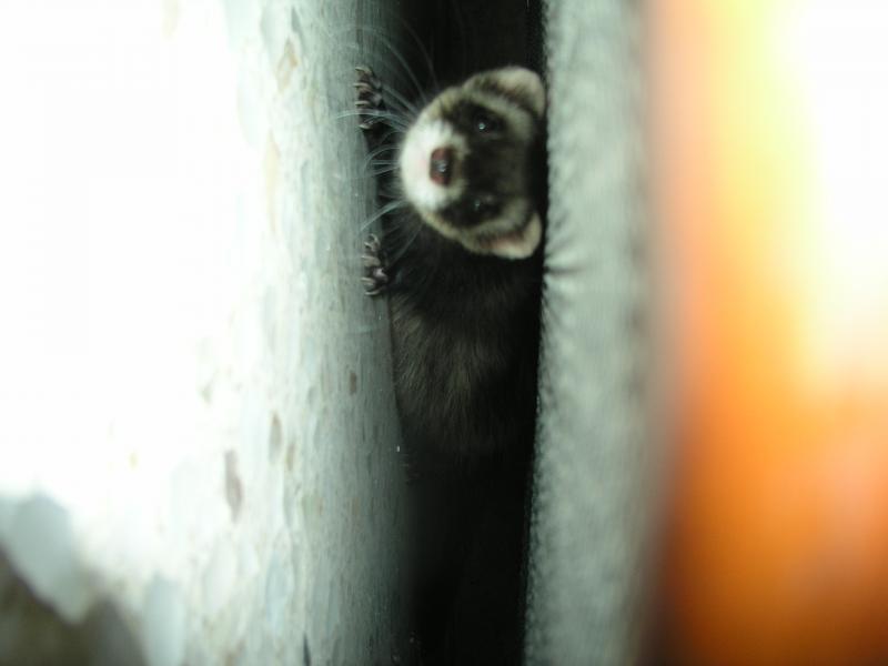 p1010875.jpg p1010875.jpg