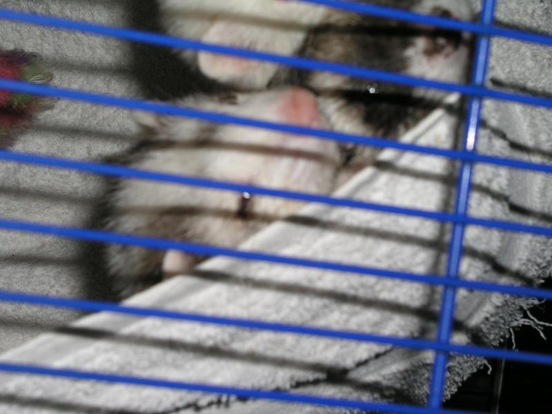 p5040430.jpg p5040430.jpg