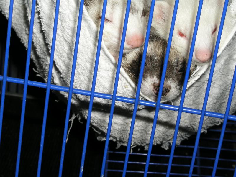 p5040431.jpg p5040431.jpg