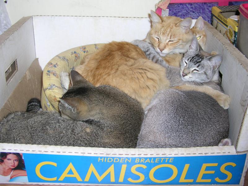 pb100361.jpg pb100361.jpg