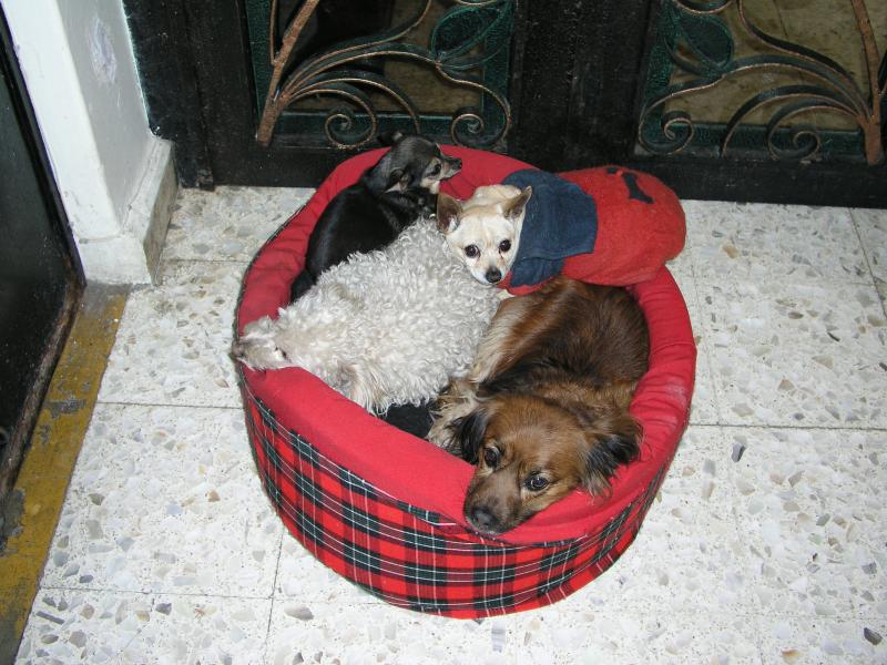 pc140220.jpg pc140220.jpg